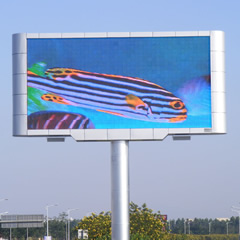 sample-image