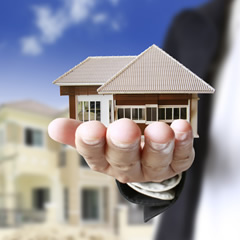 sample-image