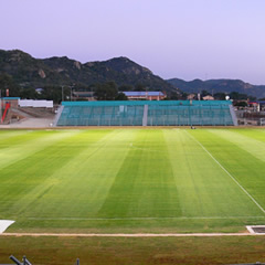 sample-image